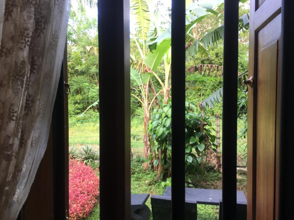 Owls Nest Hotel Udawalawe Luaran gambar