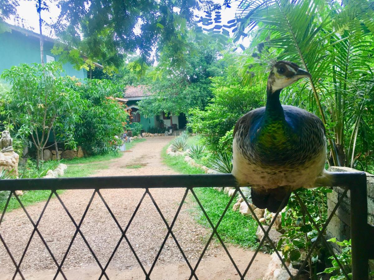 Owls Nest Hotel Udawalawe Luaran gambar
