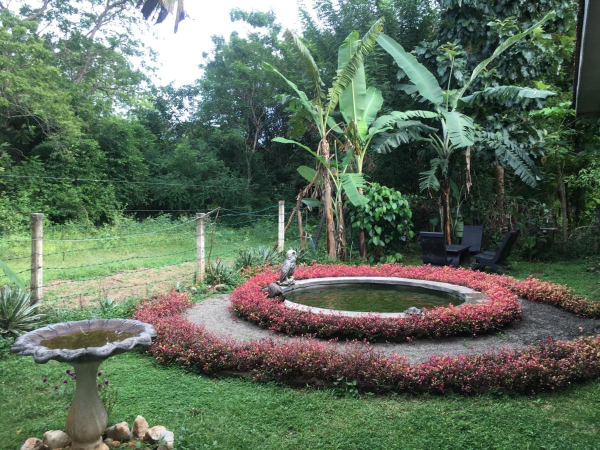 Owls Nest Hotel Udawalawe Luaran gambar