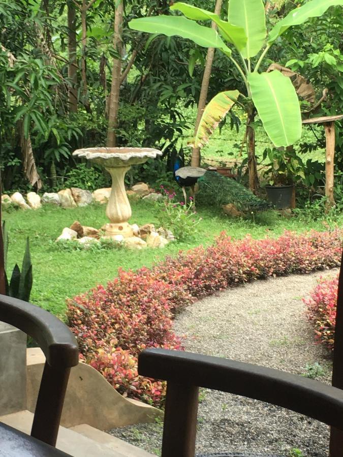 Owls Nest Hotel Udawalawe Luaran gambar