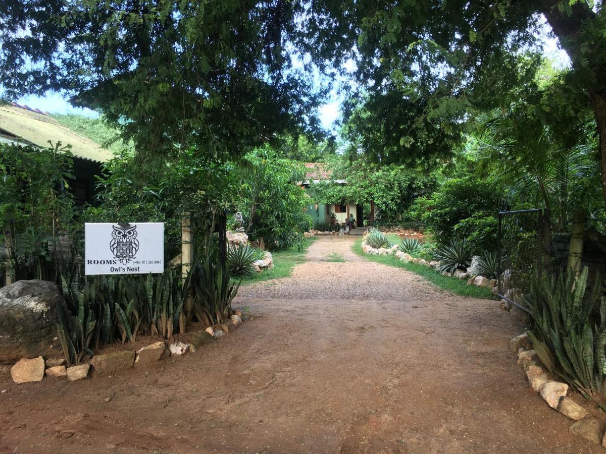 Owls Nest Hotel Udawalawe Luaran gambar