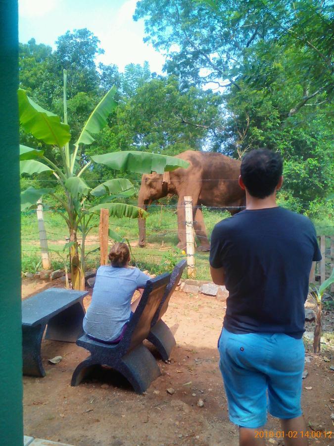 Owls Nest Hotel Udawalawe Luaran gambar