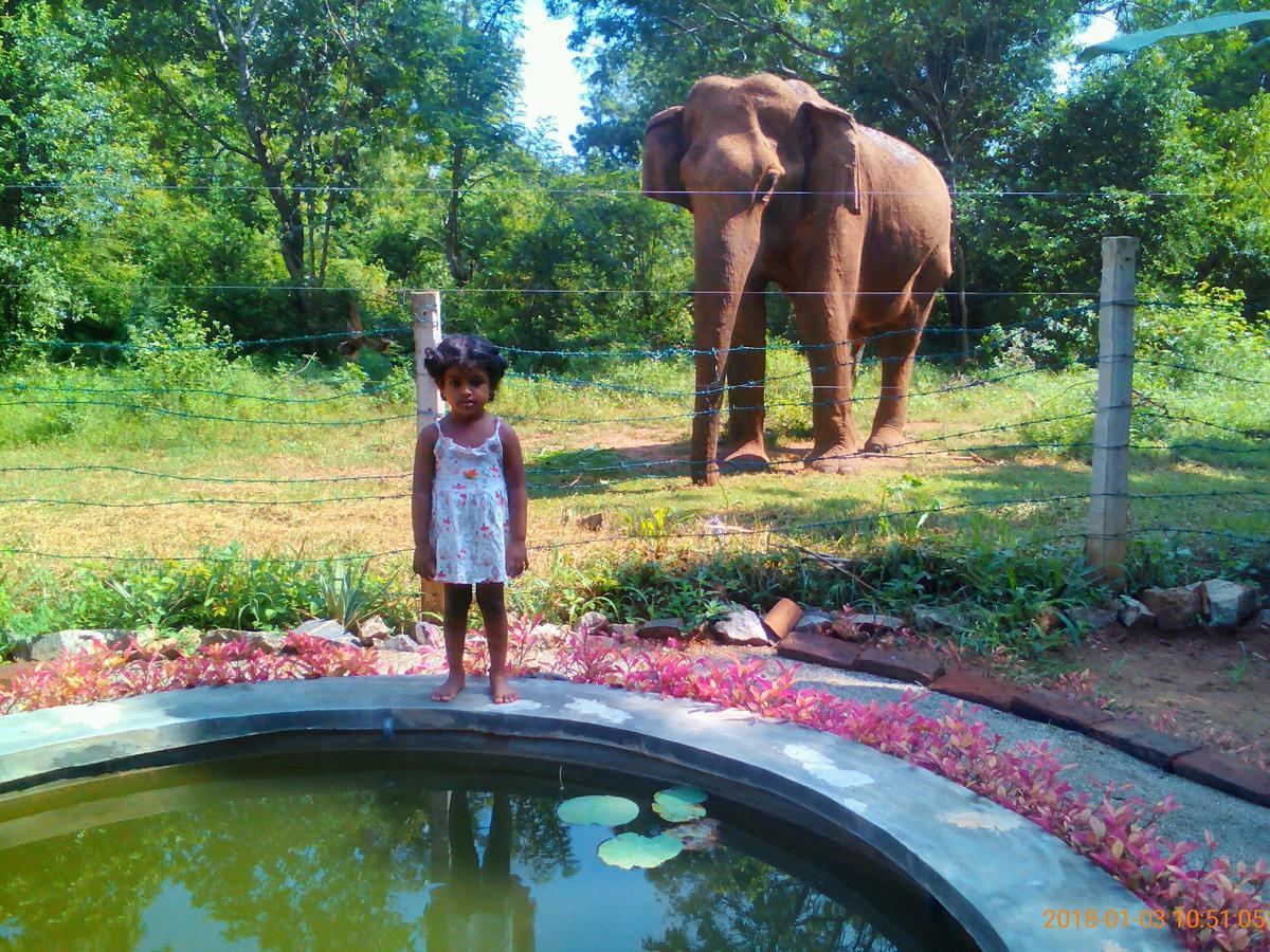 Owls Nest Hotel Udawalawe Luaran gambar