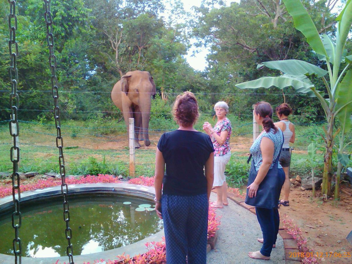 Owls Nest Hotel Udawalawe Luaran gambar