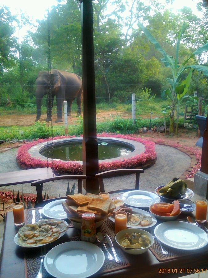 Owls Nest Hotel Udawalawe Luaran gambar
